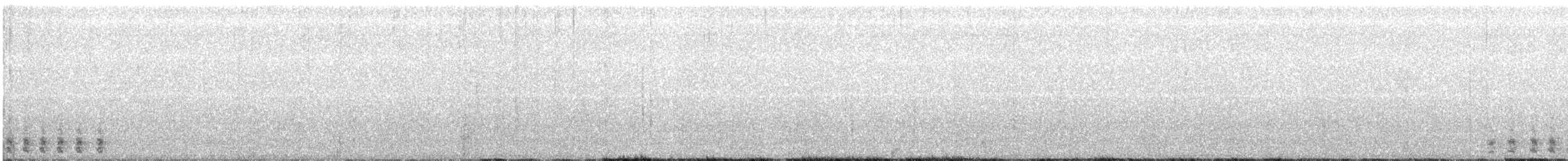 Trogon élégant - ML97681641