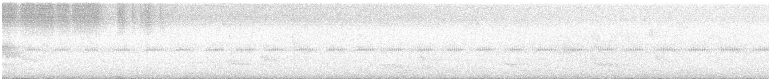 White-throated Spadebill - ML97690801