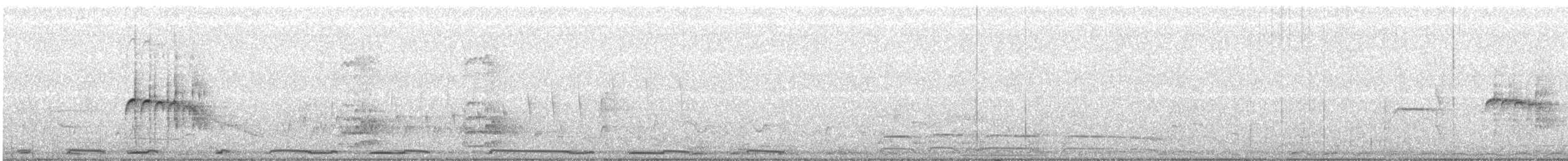 Тиранчик-тонкодзьоб північний - ML97692351
