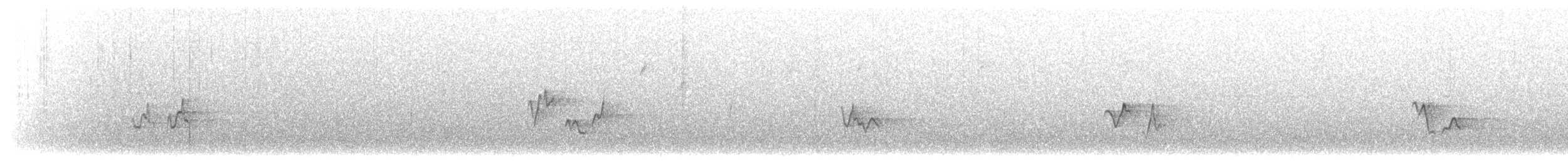 Vireo occhirossi - ML97700761