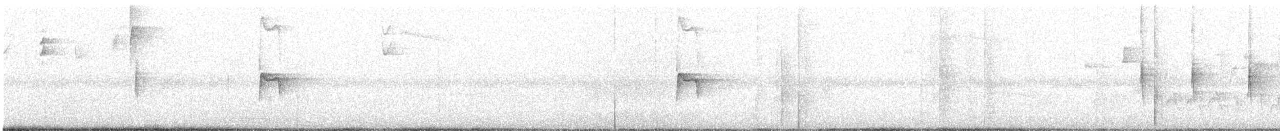 Wilson's Warbler - ML97704431