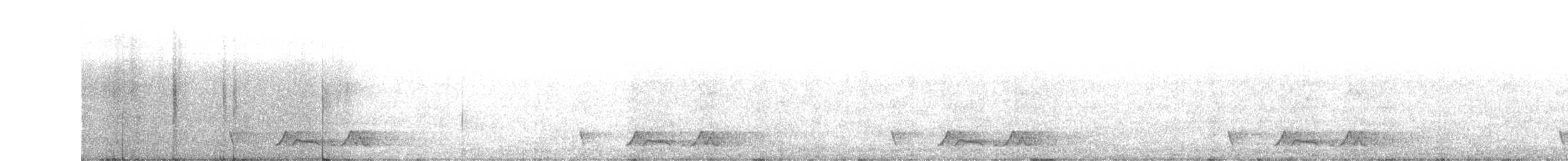 Carolinanachtschwalbe - ML97713501