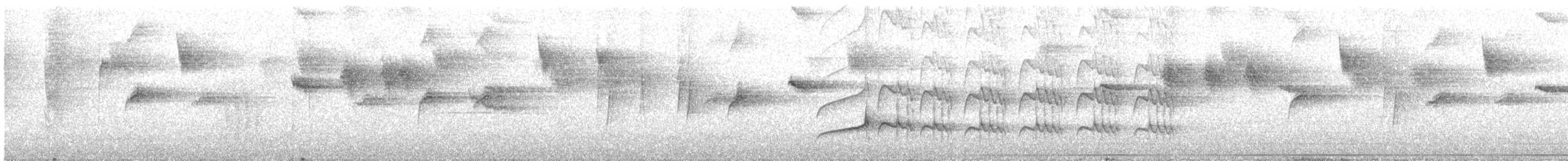 kolibřík skvrnitoprsý - ML97745441