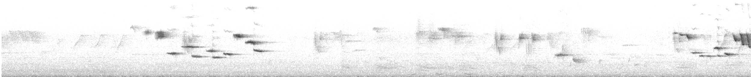 Papamoscas de Tickell - ML97816641