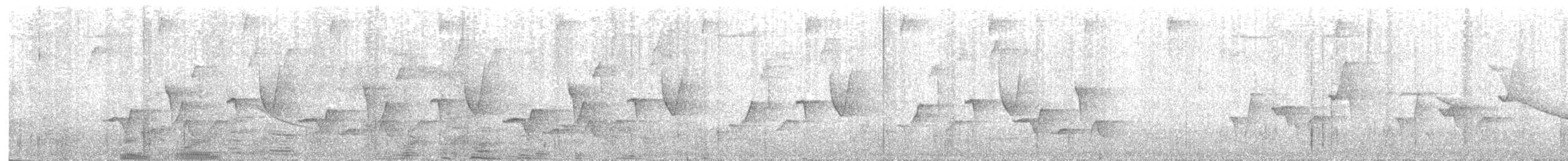 Gray-breasted Wood-Wren - ML97891991