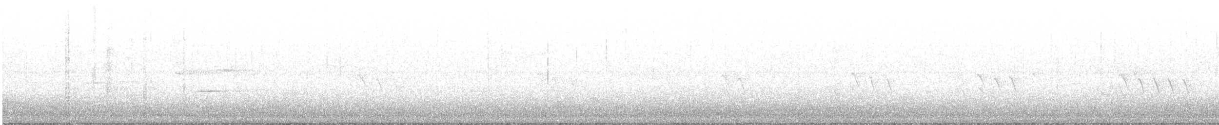 lesňáček černobílý - ML97900151