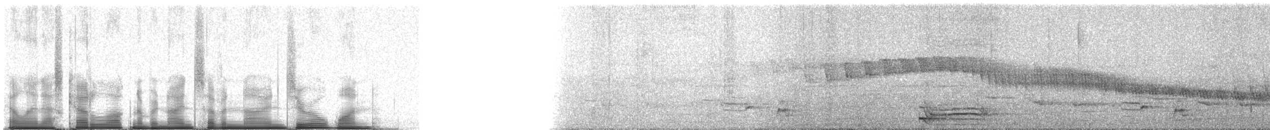 Red-fronted Coua - ML97901