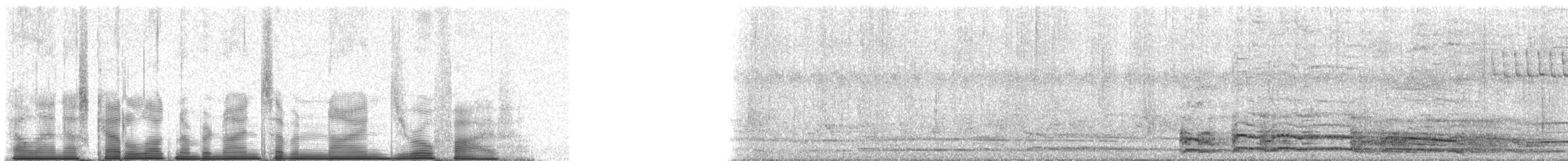 Red Junglefowl (Domestic type) - ML97905