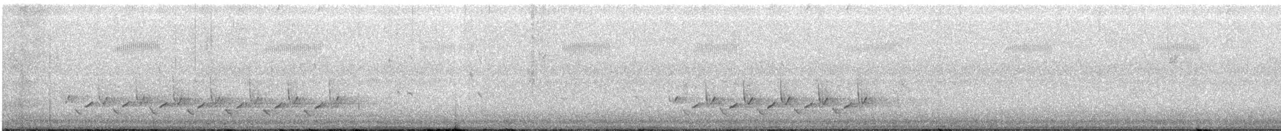 Поплітник каролінський - ML97908441