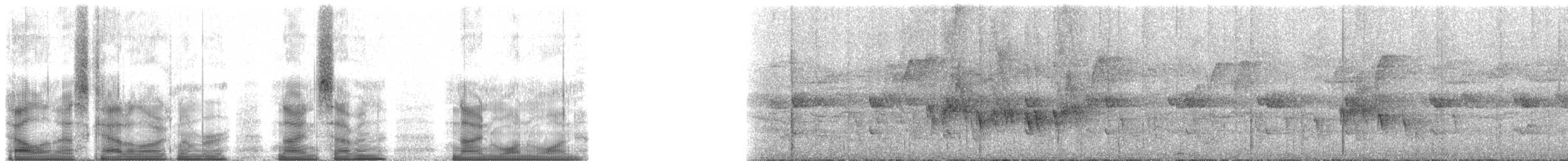 Malagasy Bulbul - ML97911