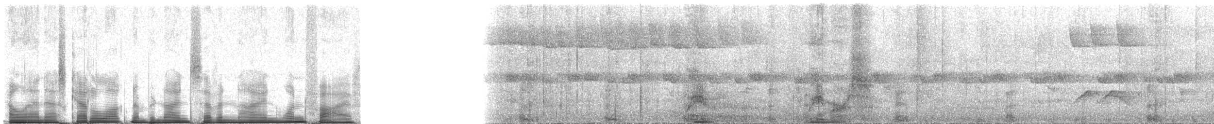 Typical Lemurs - ML97915