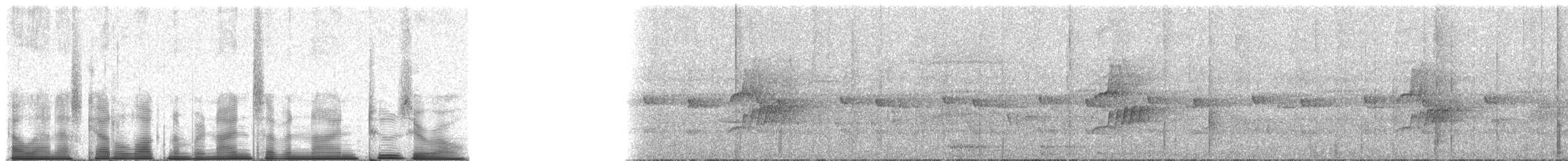 Malagasy White-eye - ML97920