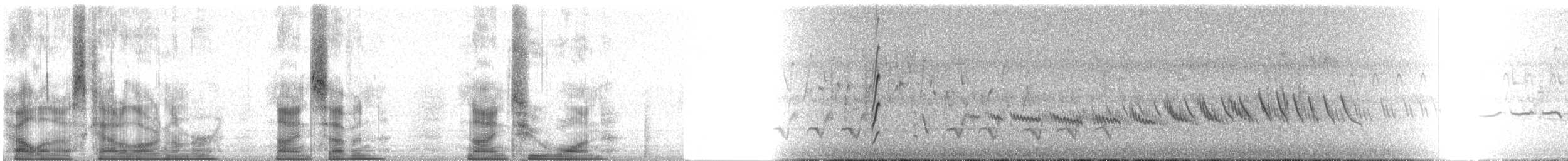 Madagaskarbrachschwalbe - ML97921