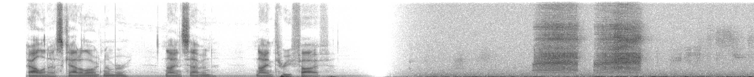 Artamelle à tête blanche - ML97935