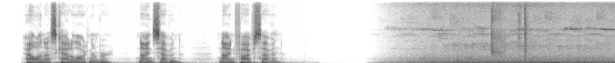 Carraca Terrestre Escamosa - ML97957