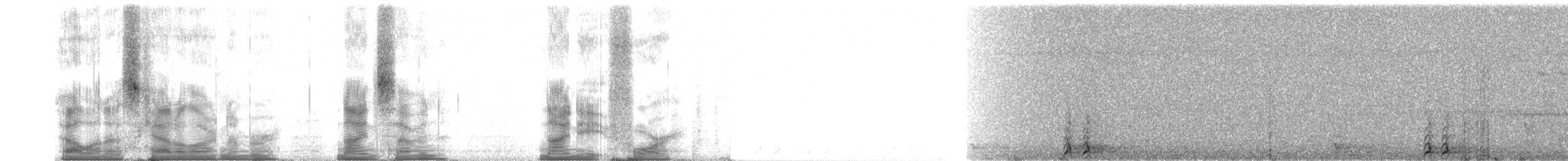 Cúa Crestado (cristata/dumonti) - ML97984