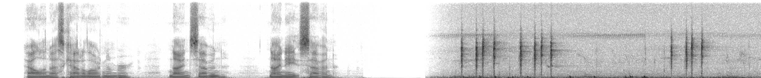 madagaskarsanger (typica gr.) - ML97987