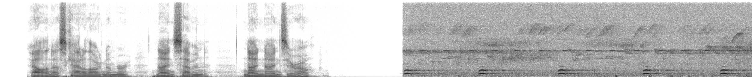 Сплюшка мадагаскарська (підвид rutilus) - ML97990