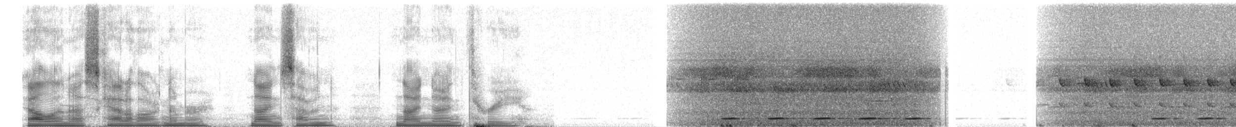 Сплюшка мадагаскарська (підвид rutilus) - ML97993