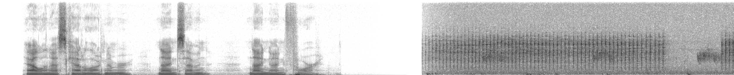madagaskarsanger (typica gr.) - ML97994