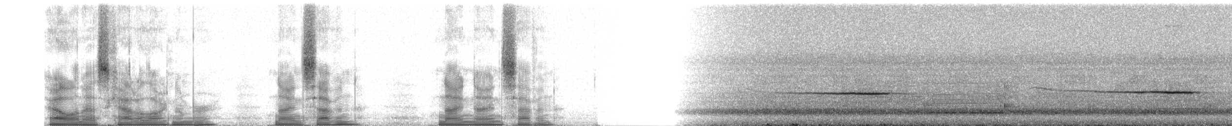 Weißbartvanga - ML97997