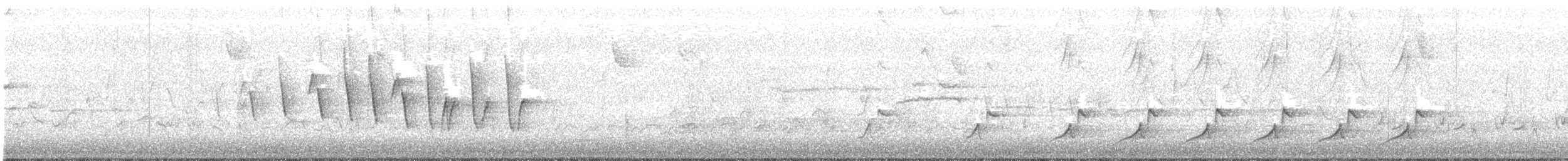 Northern Waterthrush - ML98015561