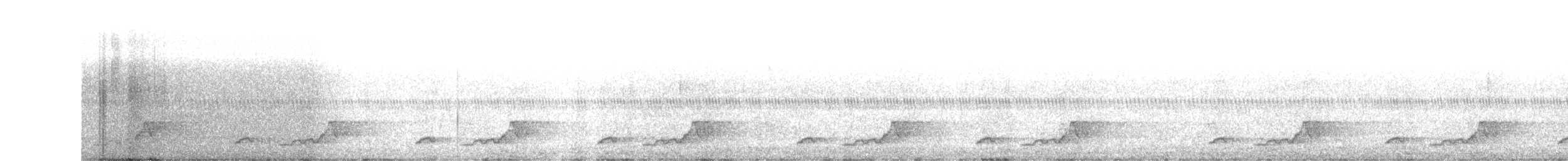 Schwarzkehl-Nachtschwalbe - ML98050571