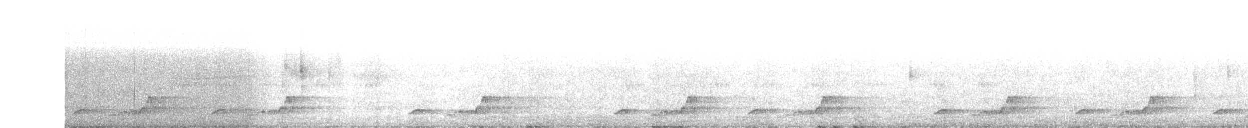 Schwarzkehl-Nachtschwalbe - ML98050581
