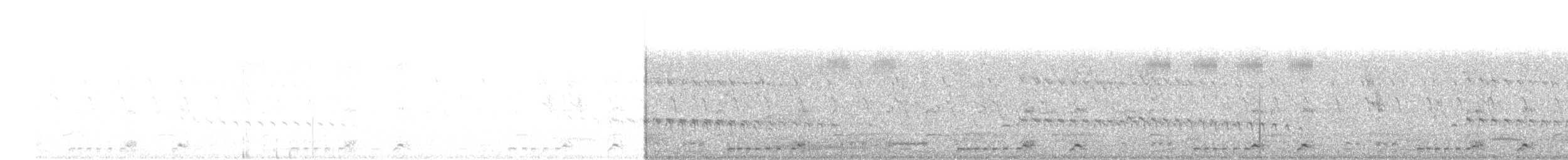 白腹秧雞 - ML98173391
