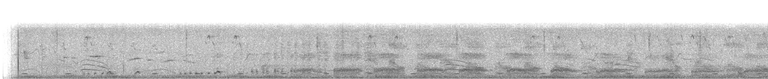 白腹秧雞 - ML98173401