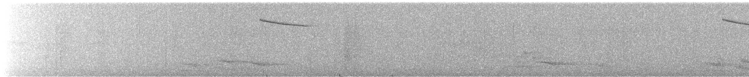 Russet-tailed Thrush - ML98184801