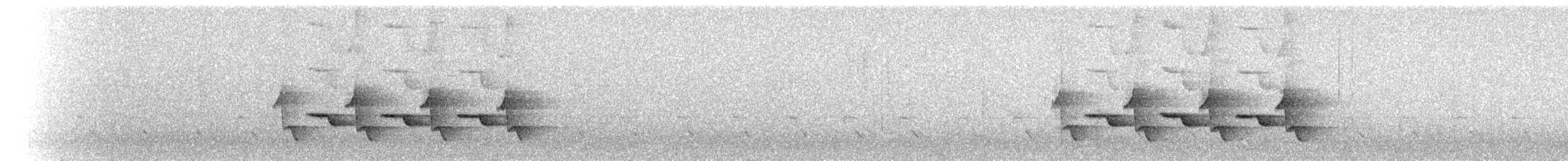 Поплітник каролінський - ML98210031
