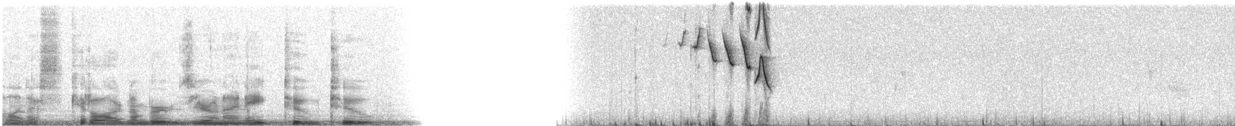 Yellow Warbler (Northern) - ML9822