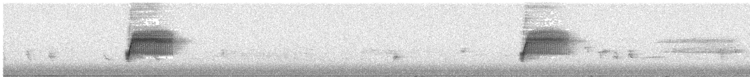 Тауї плямистий - ML98253411
