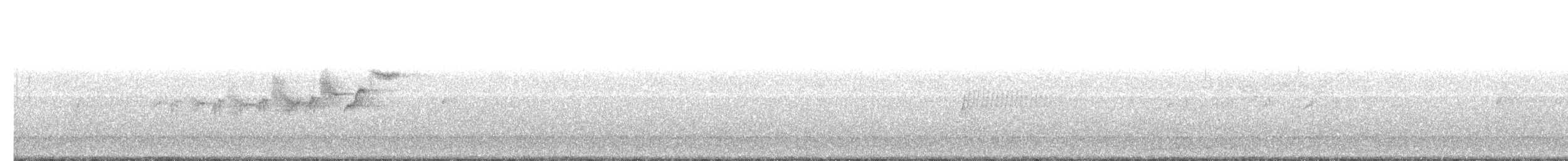 Black-throated Gray Warbler - ML98448951