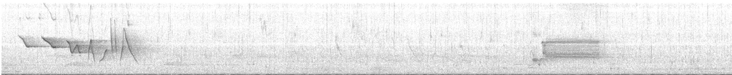 Paruline des ruisseaux - ML98516941