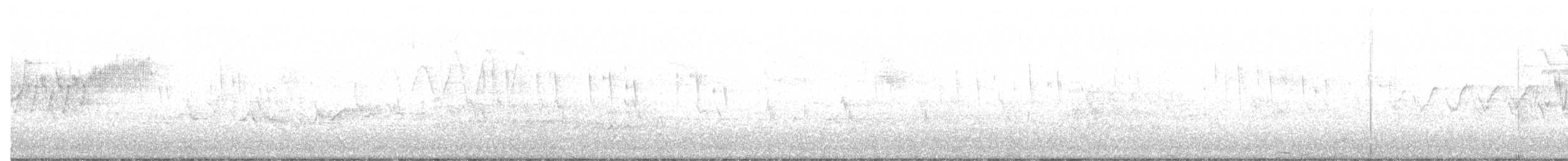lesňáček modropláštíkový - ML98524151