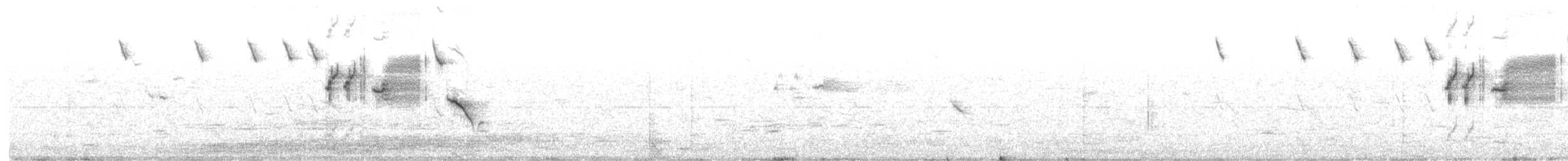 Savannah Sparrow - ML98584031
