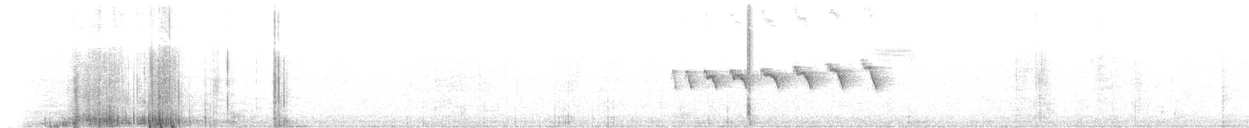 Black-throated Antbird - ML98621531