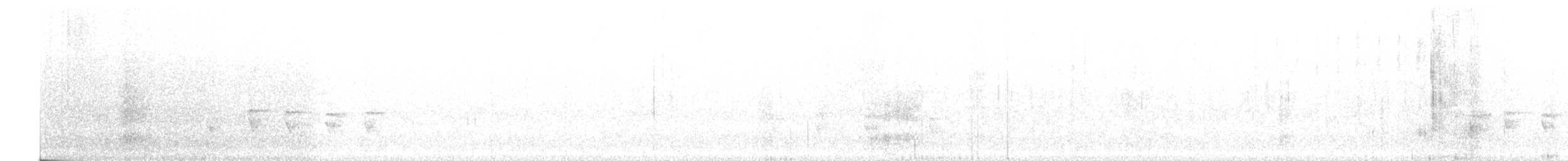 Glossy-black Thrush - ML98647601