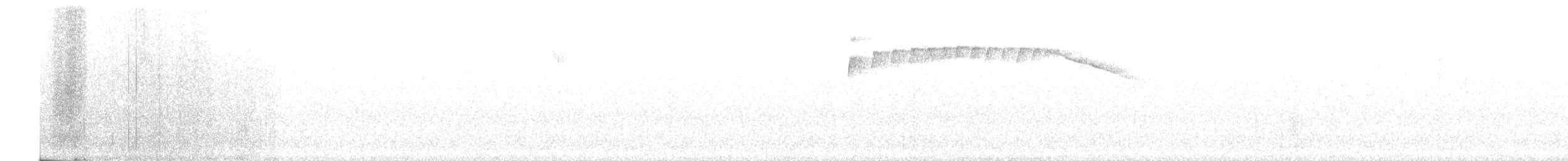 Green-and-black Fruiteater - ML98667461