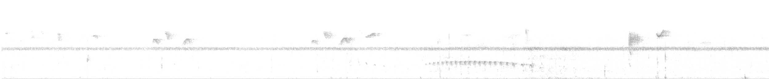 Schwarzscheitel-Ameisenfänger - ML98671891