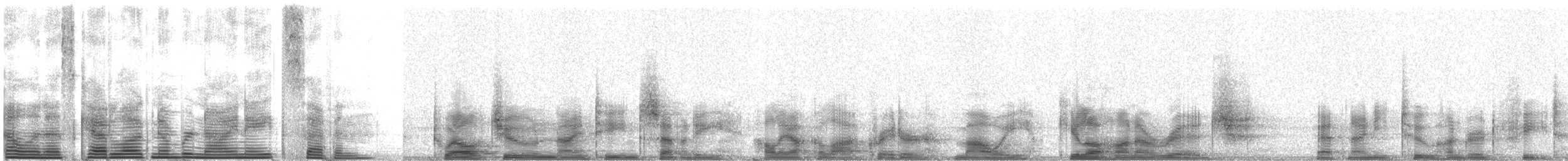 Hawaiian Petrel - ML987