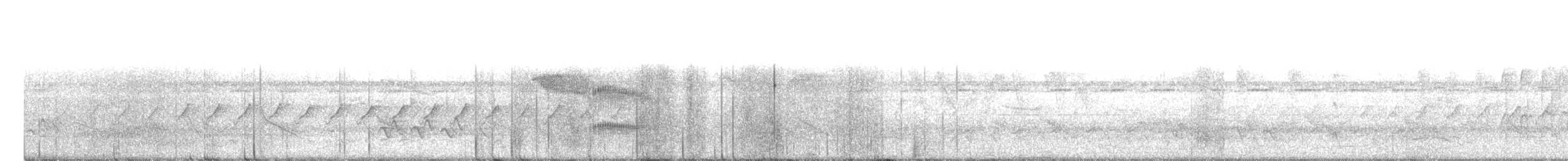 Blassaugen-Zwergtyrann - ML98730451