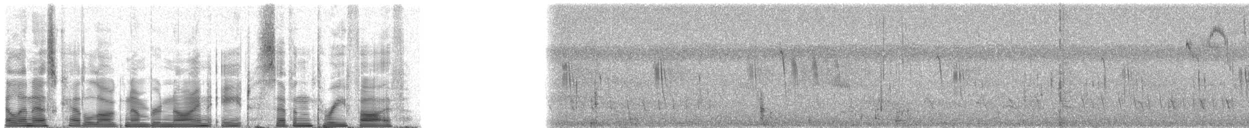 Weißbandschwalbe - ML98735