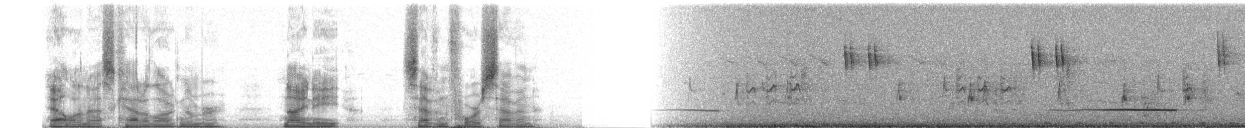 カギハシオオハシモズ（cetera） - ML98747