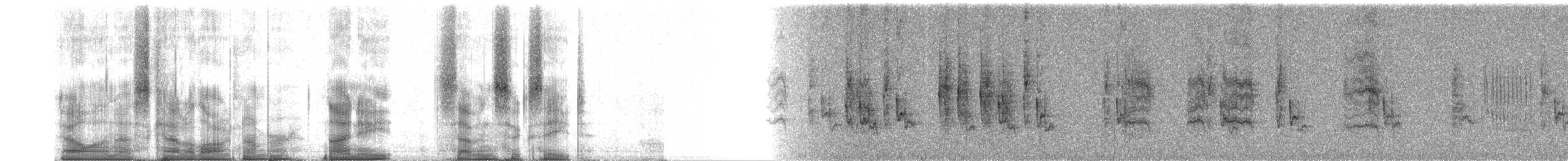 チェバートオオハシモズ（schistocercus） - ML98768