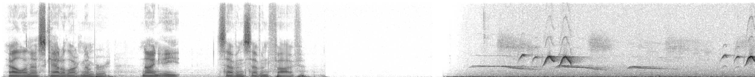 Краснохвостая ванга - ML98775