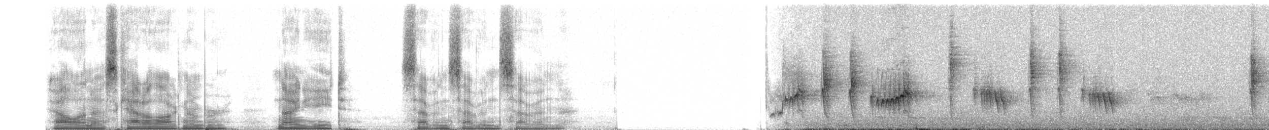 Краснохвостая ванга - ML98777