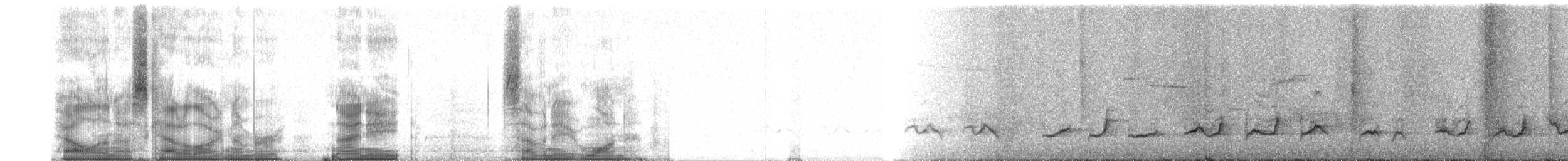 Gmelinmadagaskarsänger - ML98781